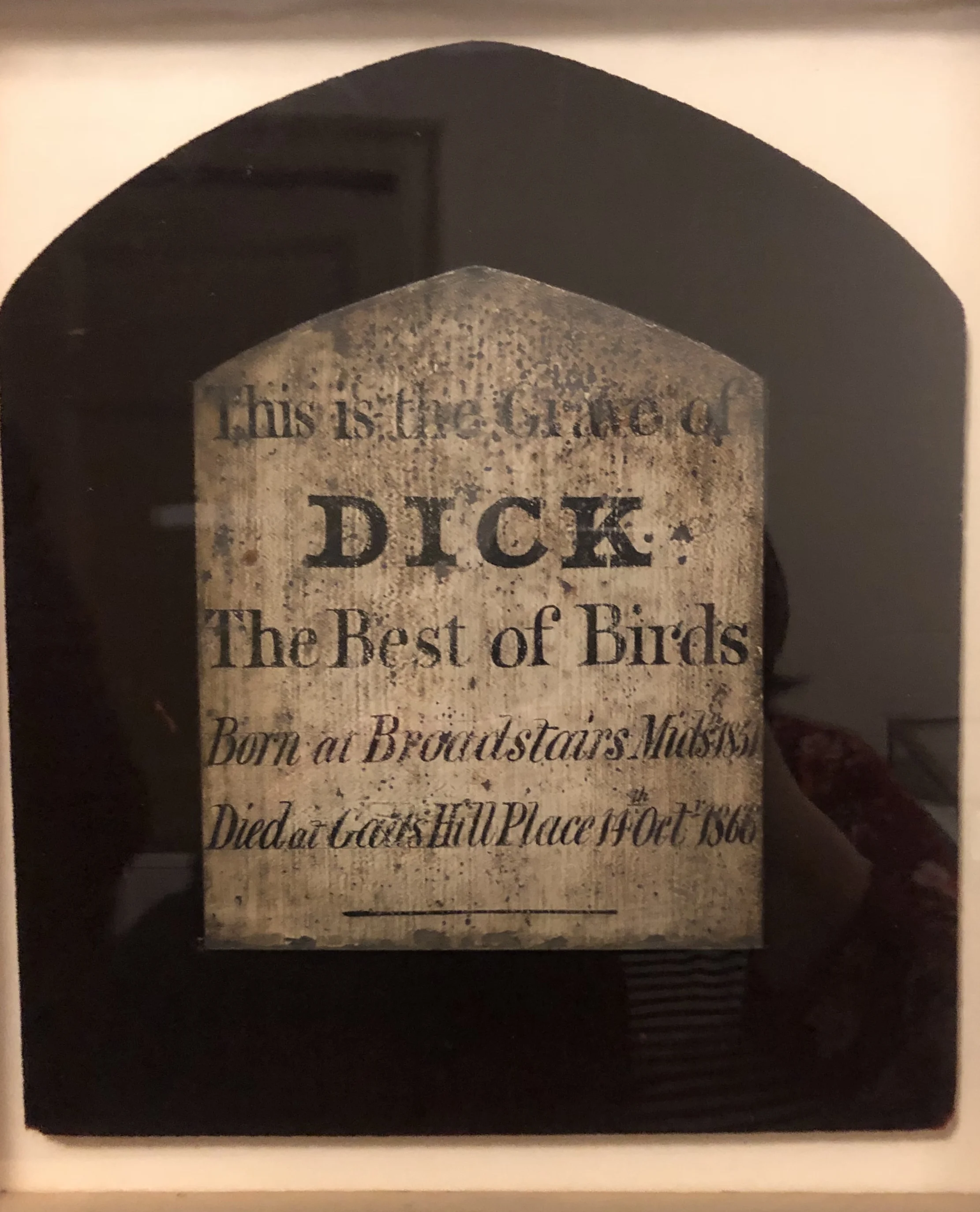 Grip, Dickens’ pet raven was not the only family bird. This headstone, for Dick-the family canary, was gifted to the Free Library. It was originally at the family home, Gads Hill.