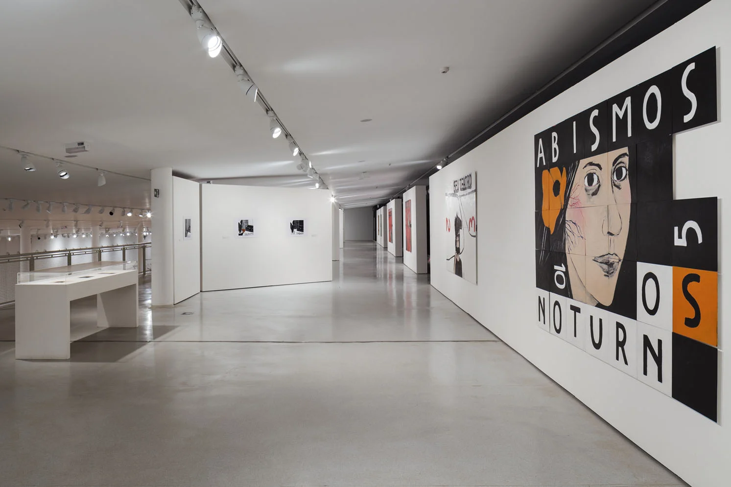 mac – ibirapuera