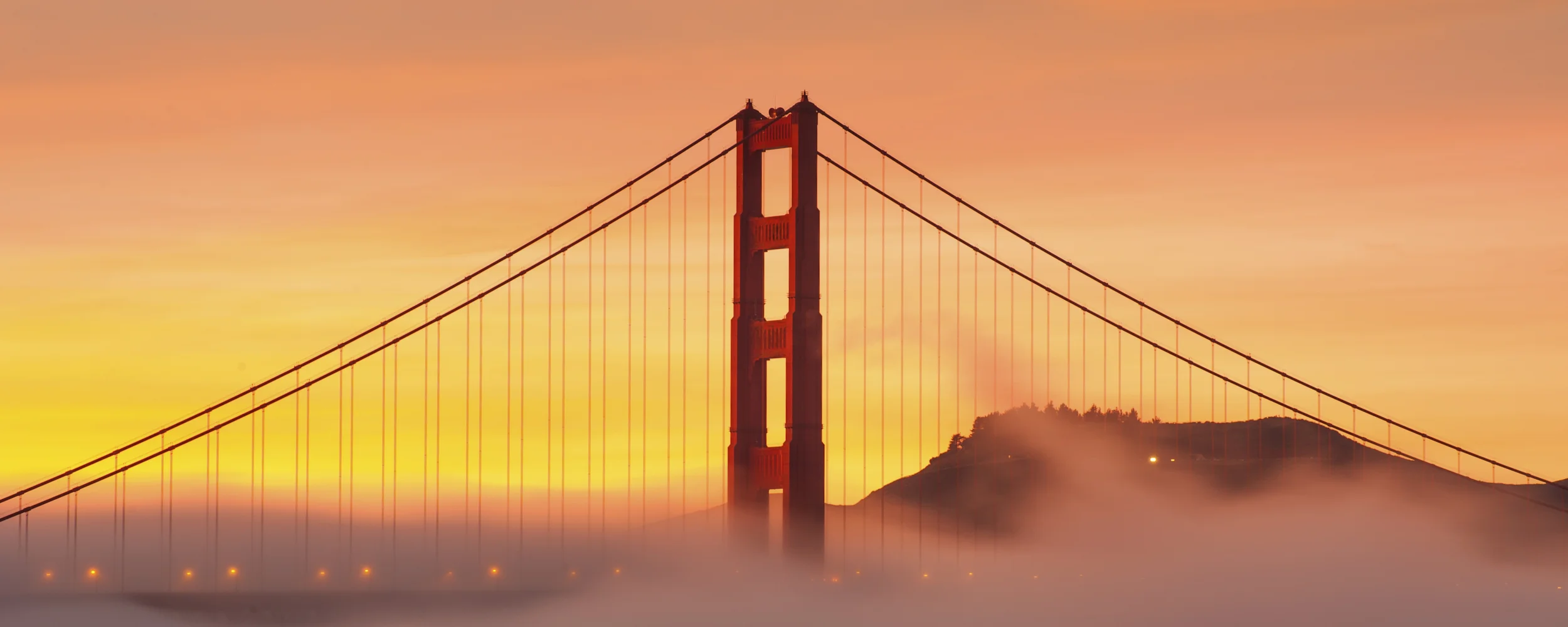iStock_000026136009_Large.jpg