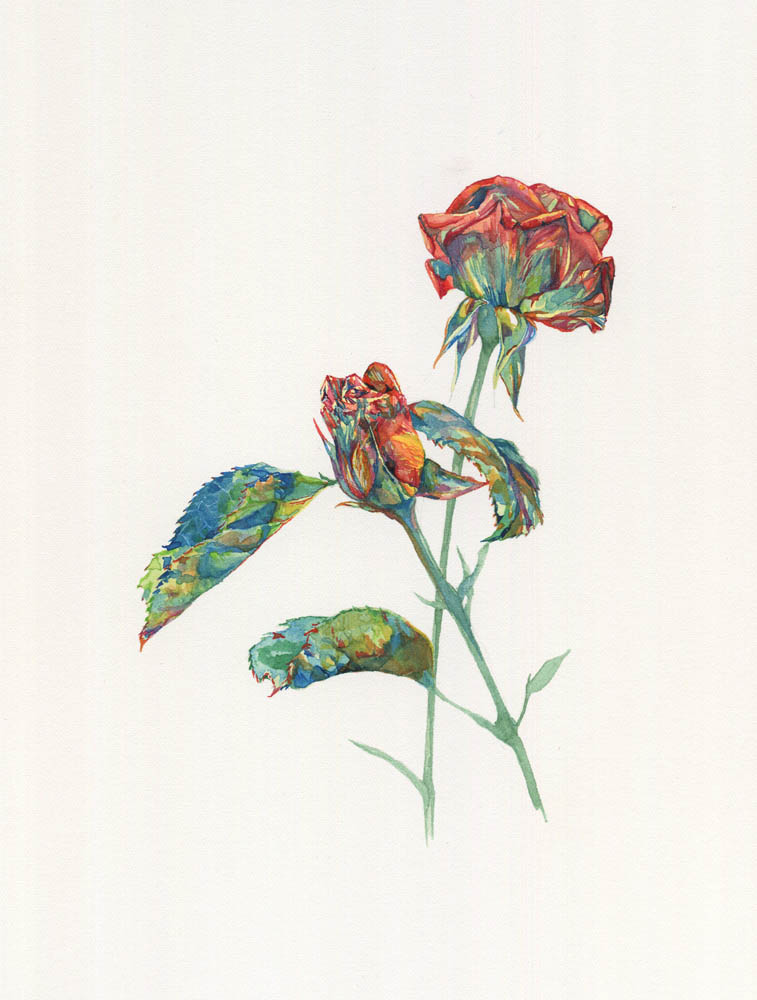 Two roses, 2016. SOLD