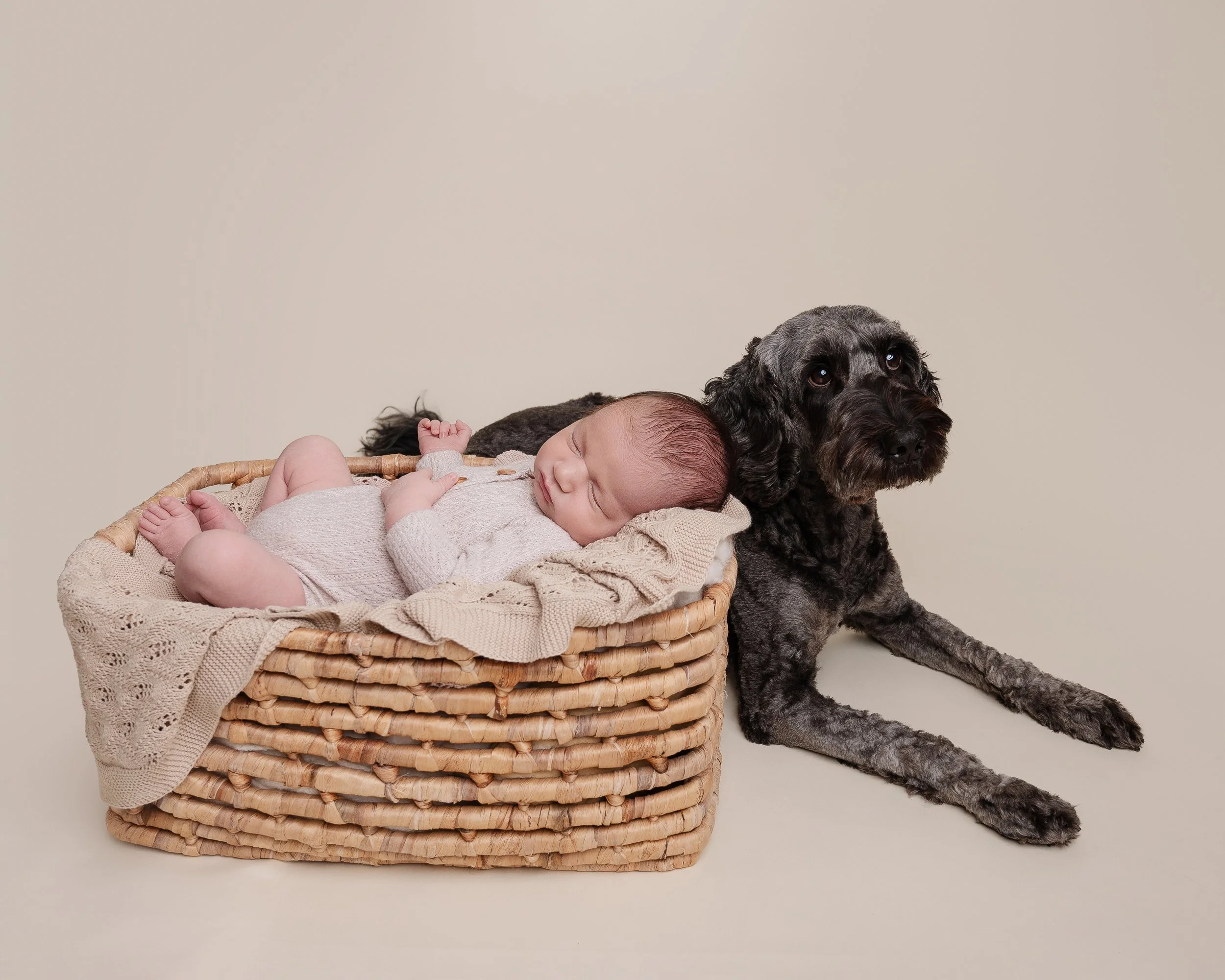 newborn-and-dog-photography-hampshire.jpg