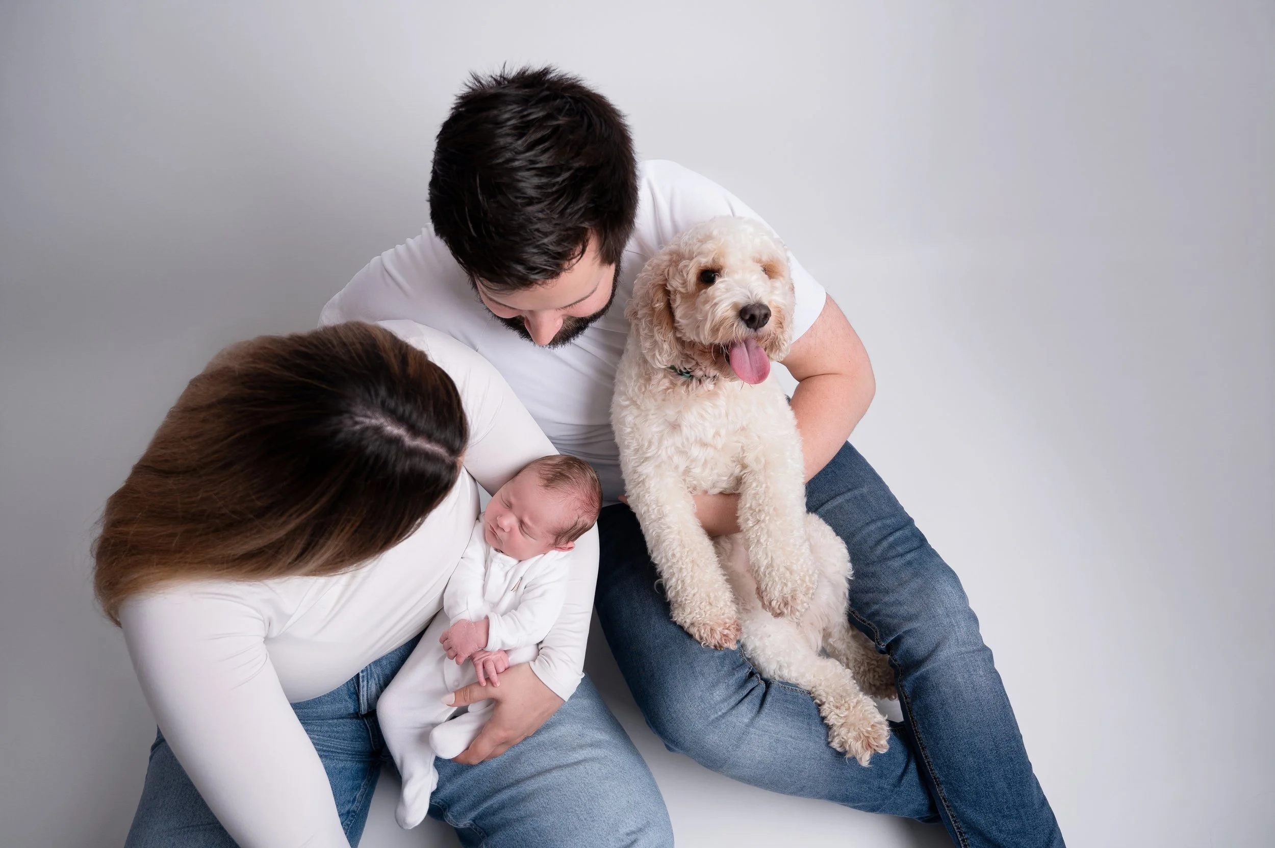 newborn-and-dog-photography-west-london.jpg