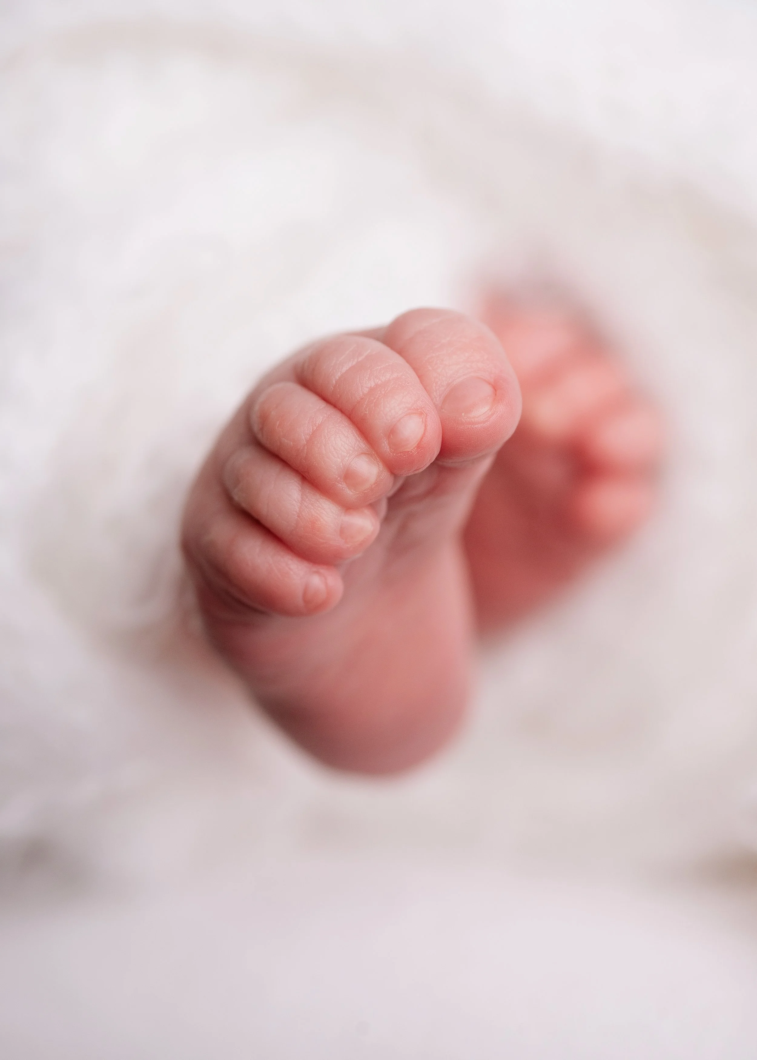 newborn-feet-photography-hampshire.jpg