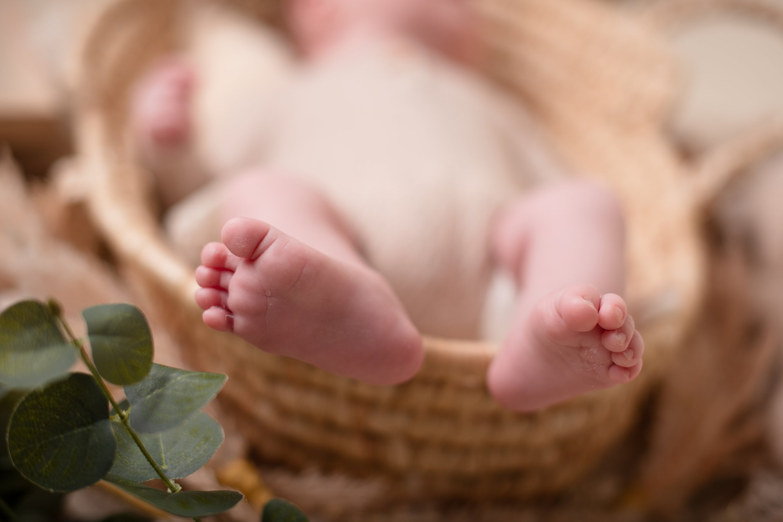 newborn-photographer-hillingdon.jpg