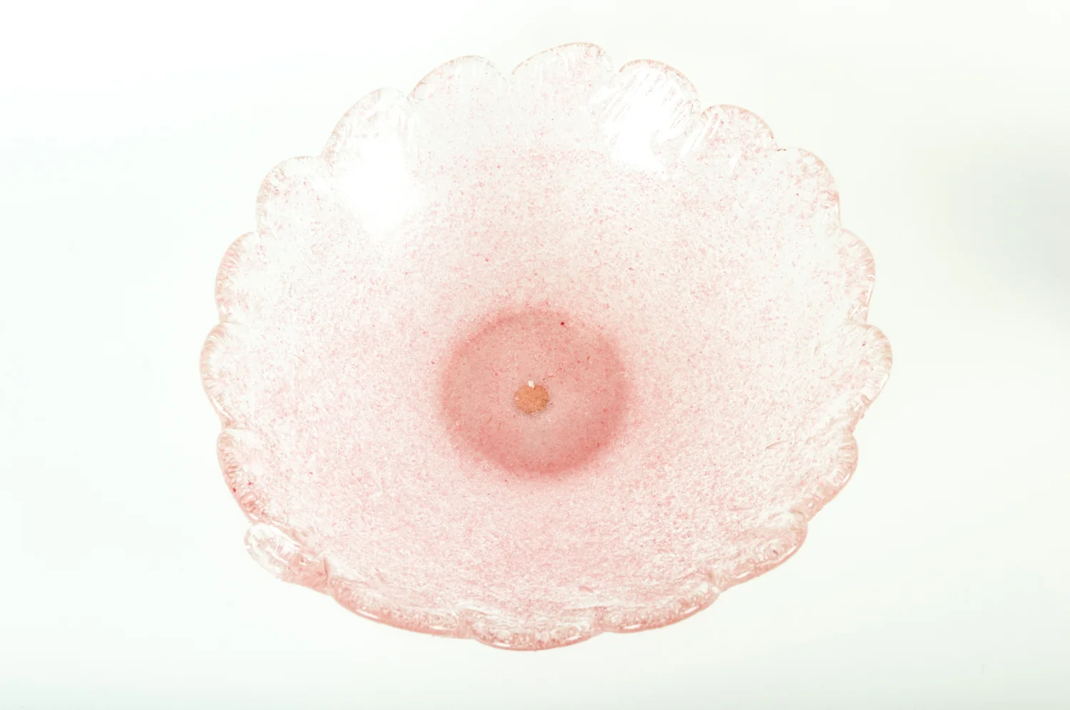 LM-0892.JPG