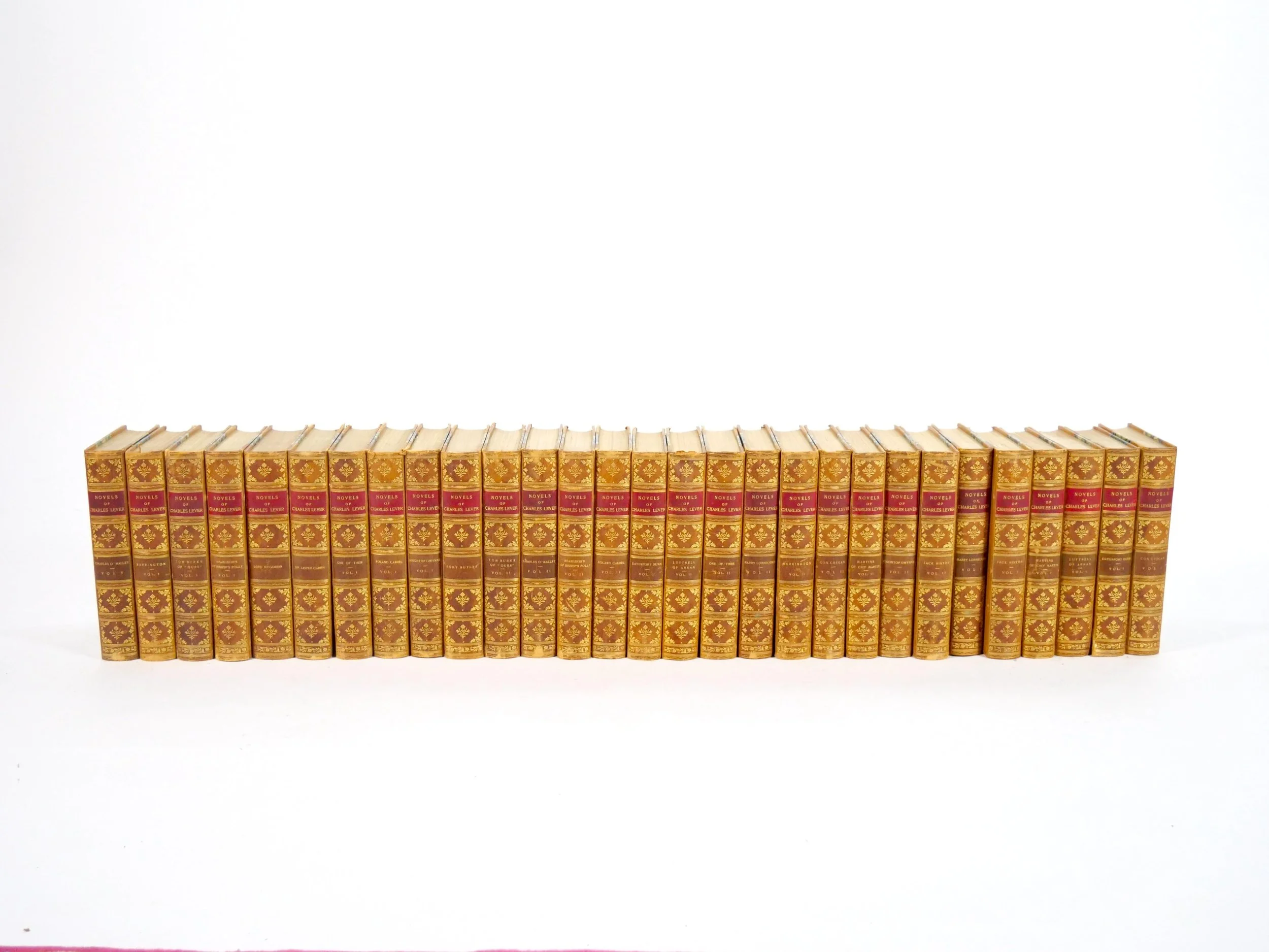 P1255388_master.JPG