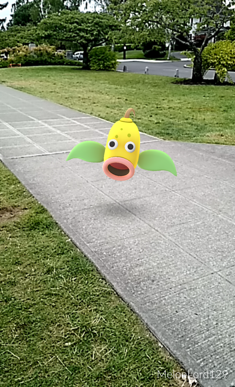 Pokemon Go in Everett - Voltorbs and More — Live in Everett