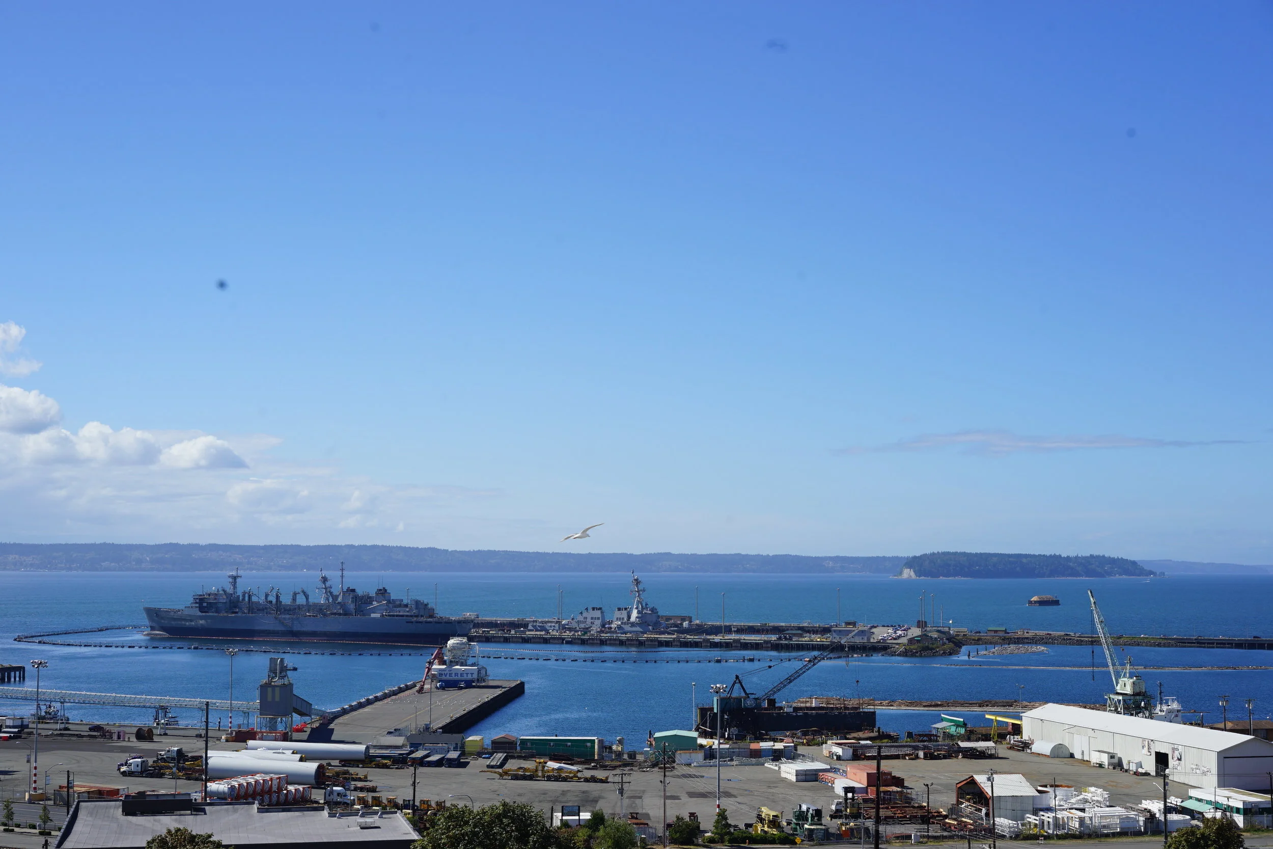 Everett Real Estate For Sale - Nautica Condo #B605