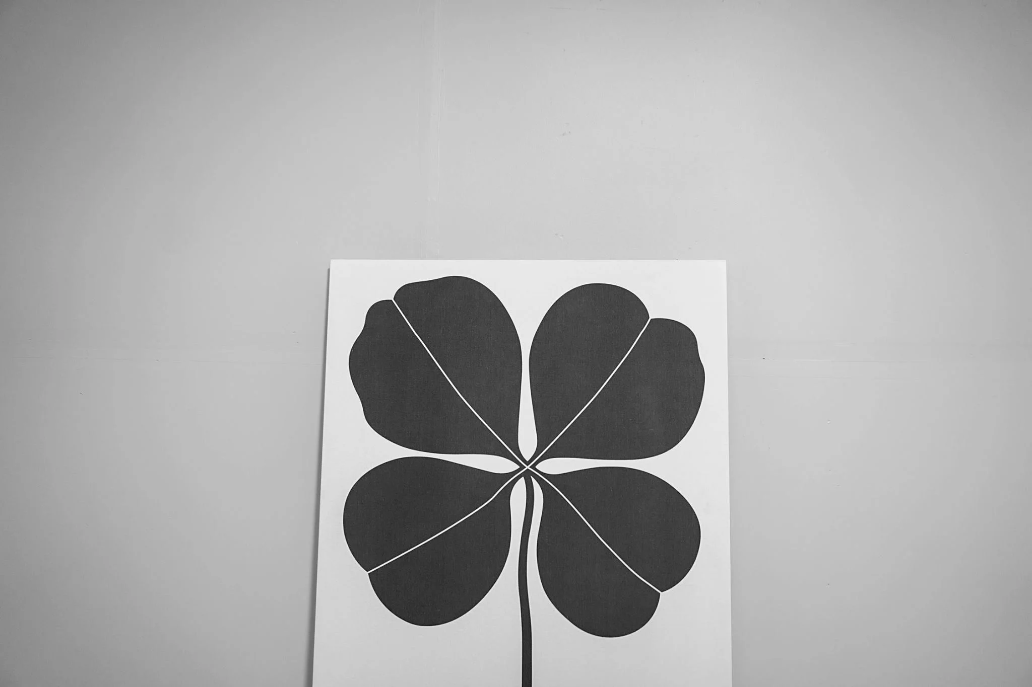 Adulting: Things I Learned About Insurance and Life by Switching to McClain