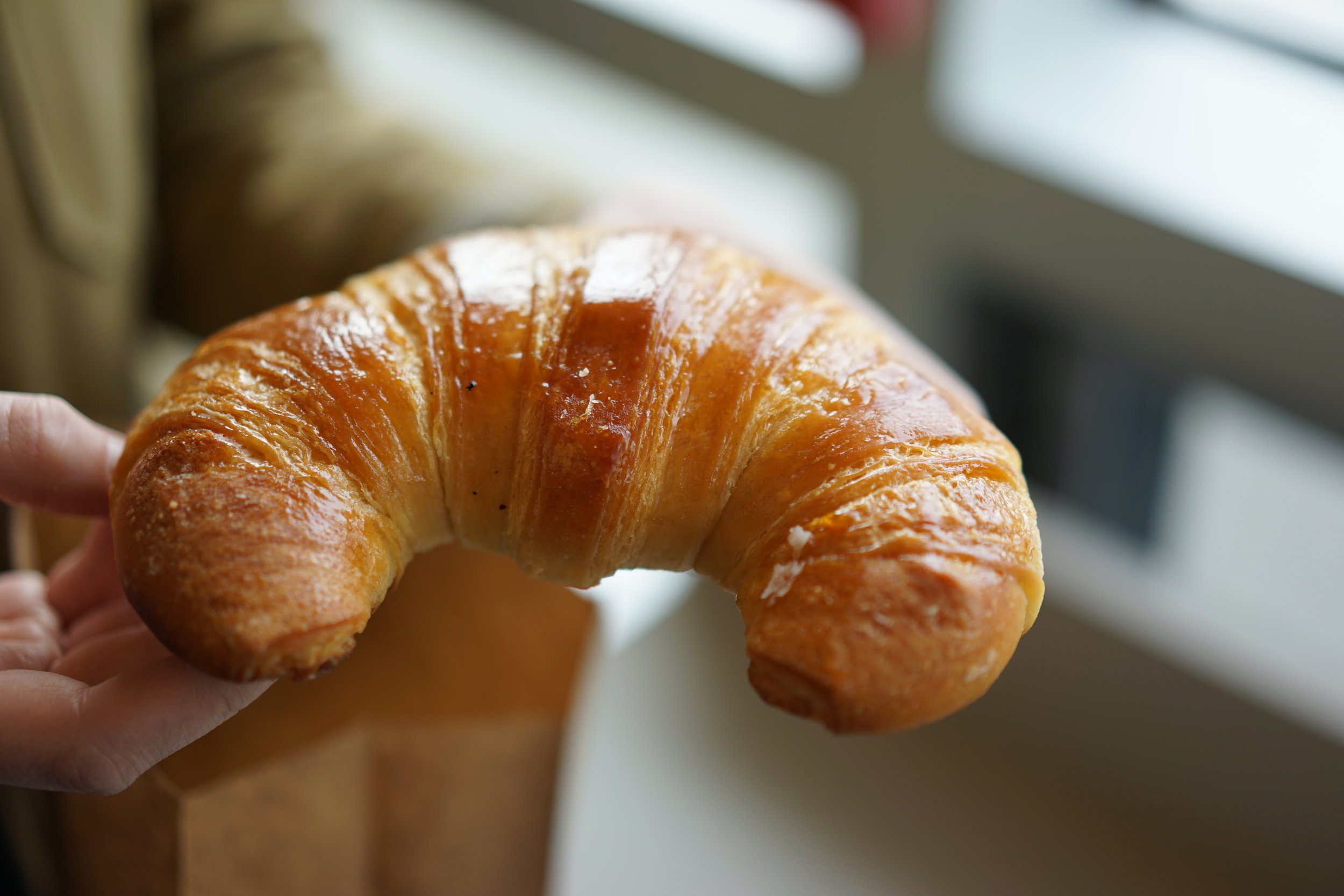 Live in Everett TV 📺: Checking out the New Delite Bakery 