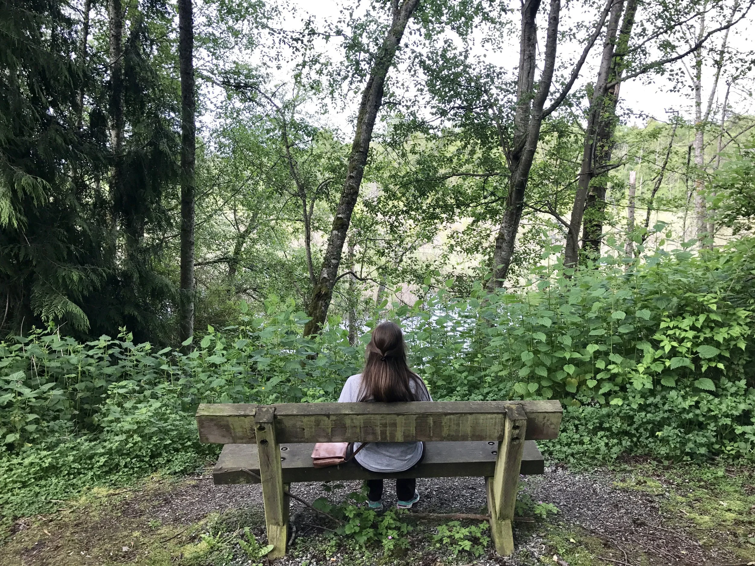 Everett's Narbeck Wetland Sanctuary (Via Take a Walk: Seattle)