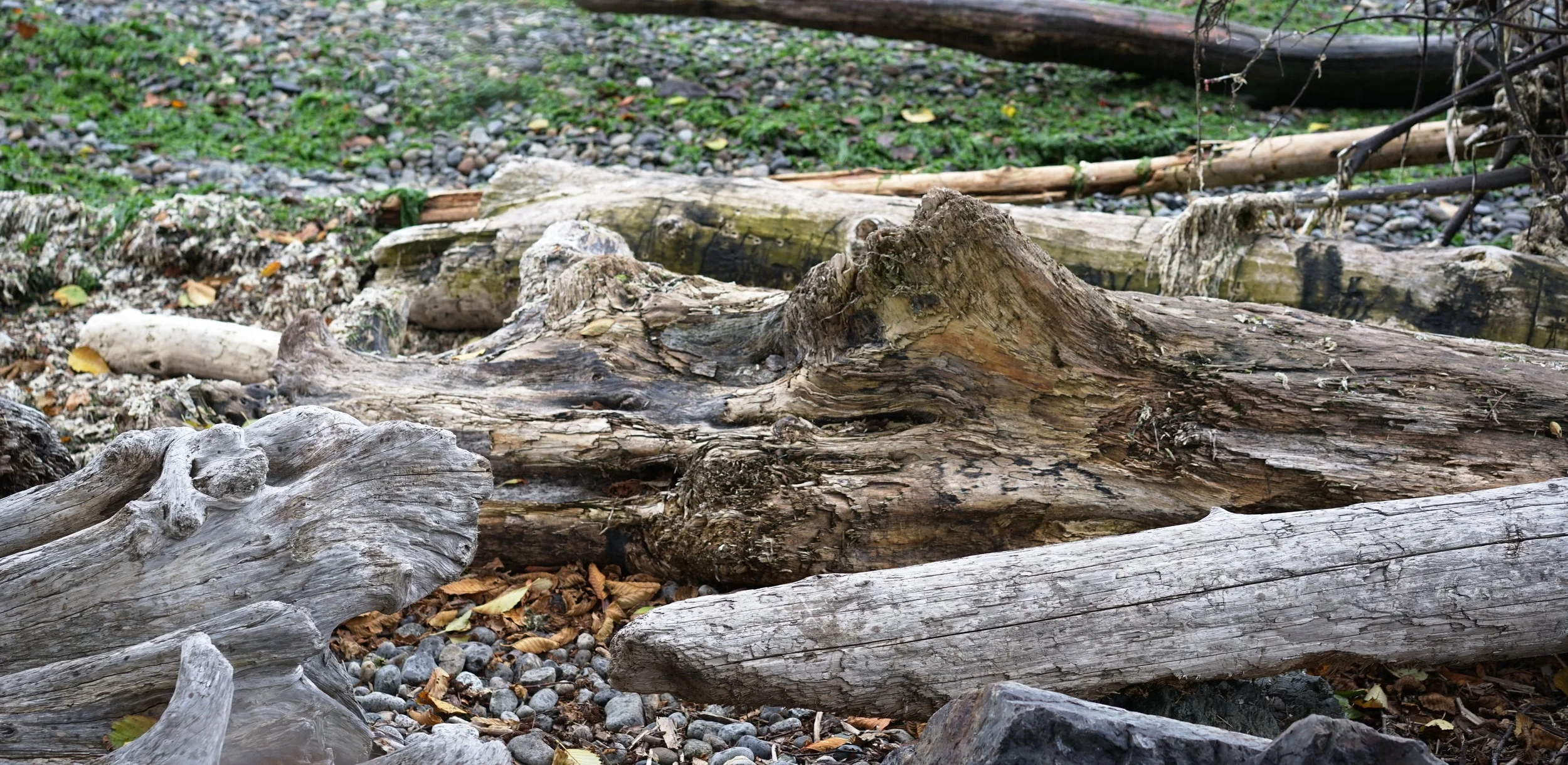 Pigeon Creek