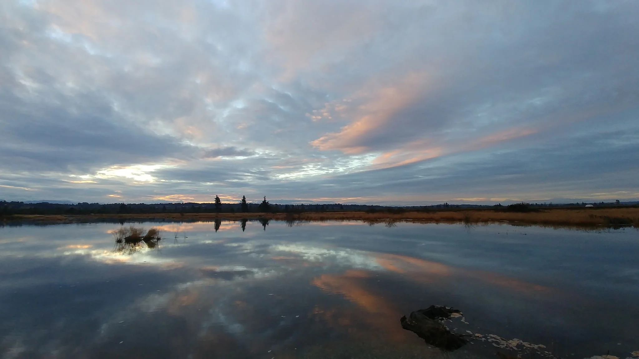 The wetlands // Christopher Bragg