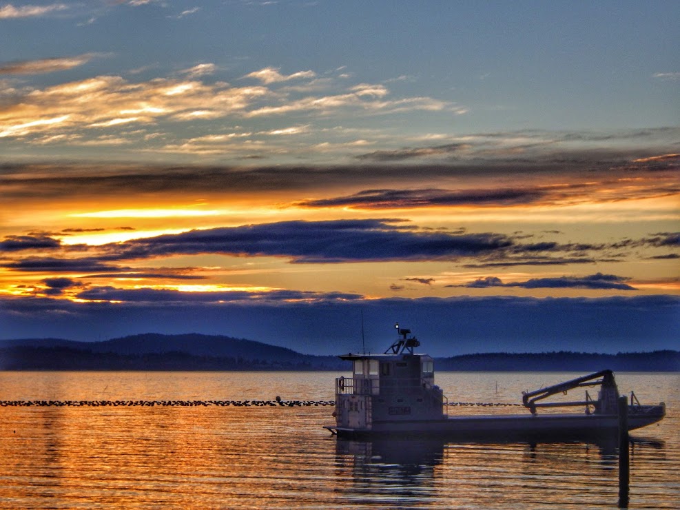 Worth Leaving Town For: Taylor Shellfish Farms & Chuckanut Drive