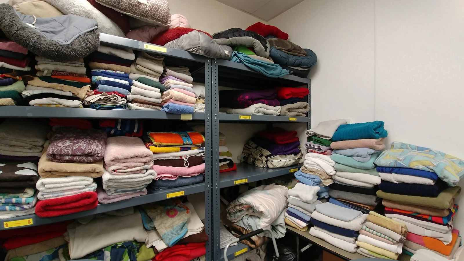 Getting rid of some towels because you watched Tidying Up on Netflix? Consider dropping them off at the shelter instead of the thrift store // Christopher Bragg