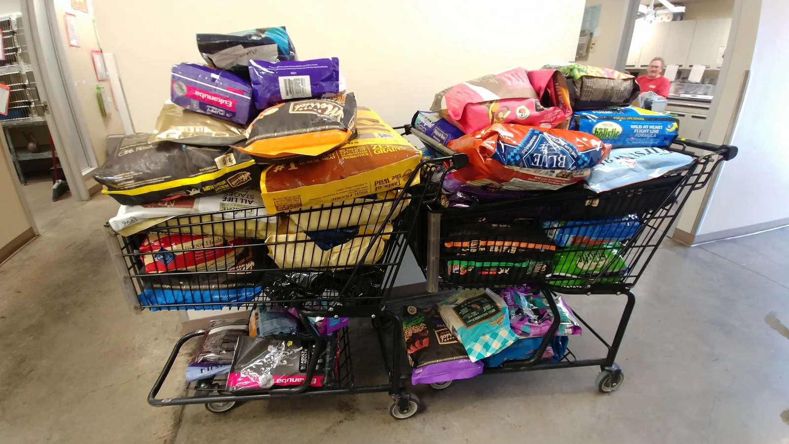 The latest batch of donated food. You can send them food and other items they need from their Amazon wish list // Christopher Bragg