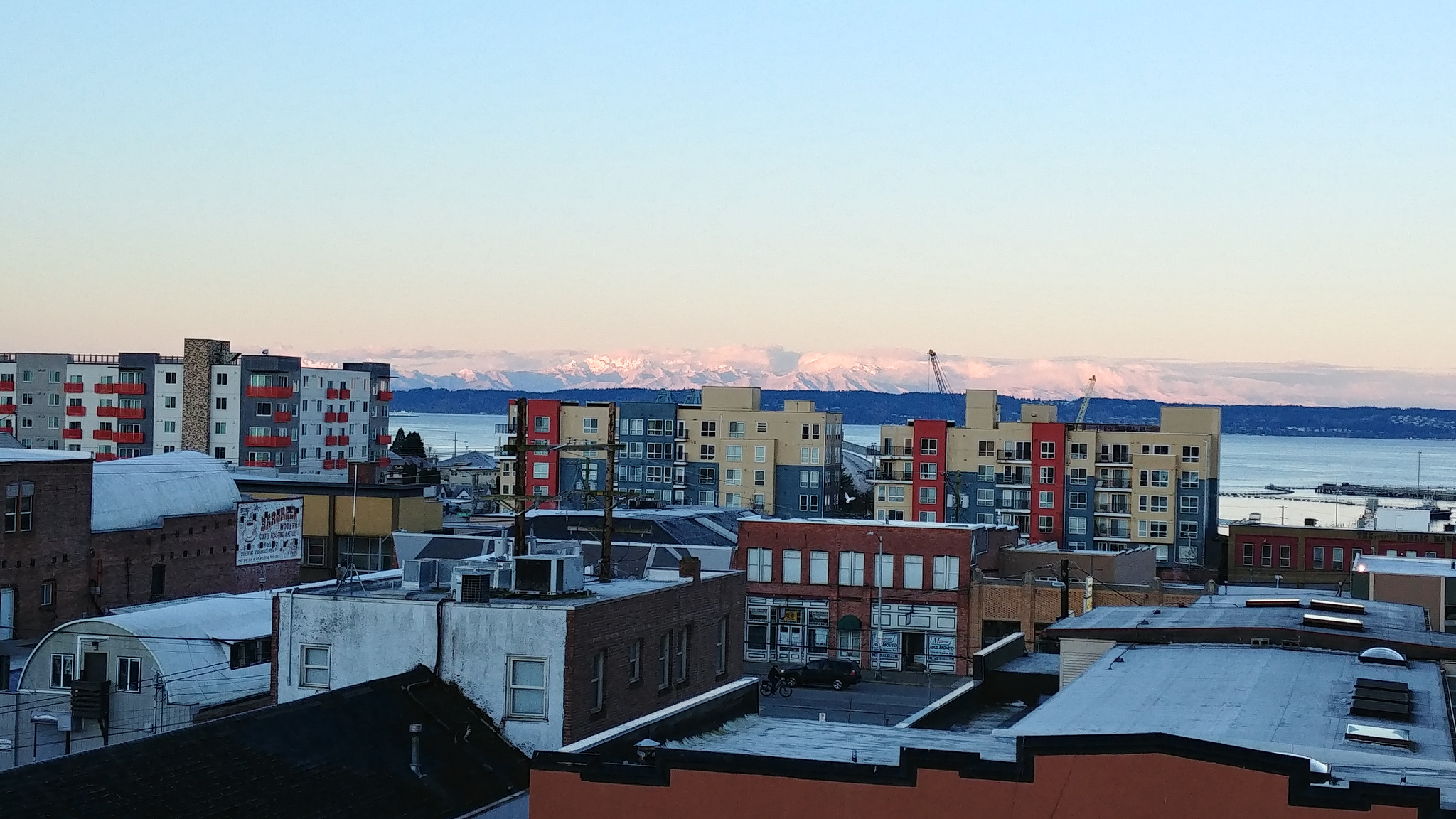   The Olympic Mountains seen from Everpark // Christopher Bragg  