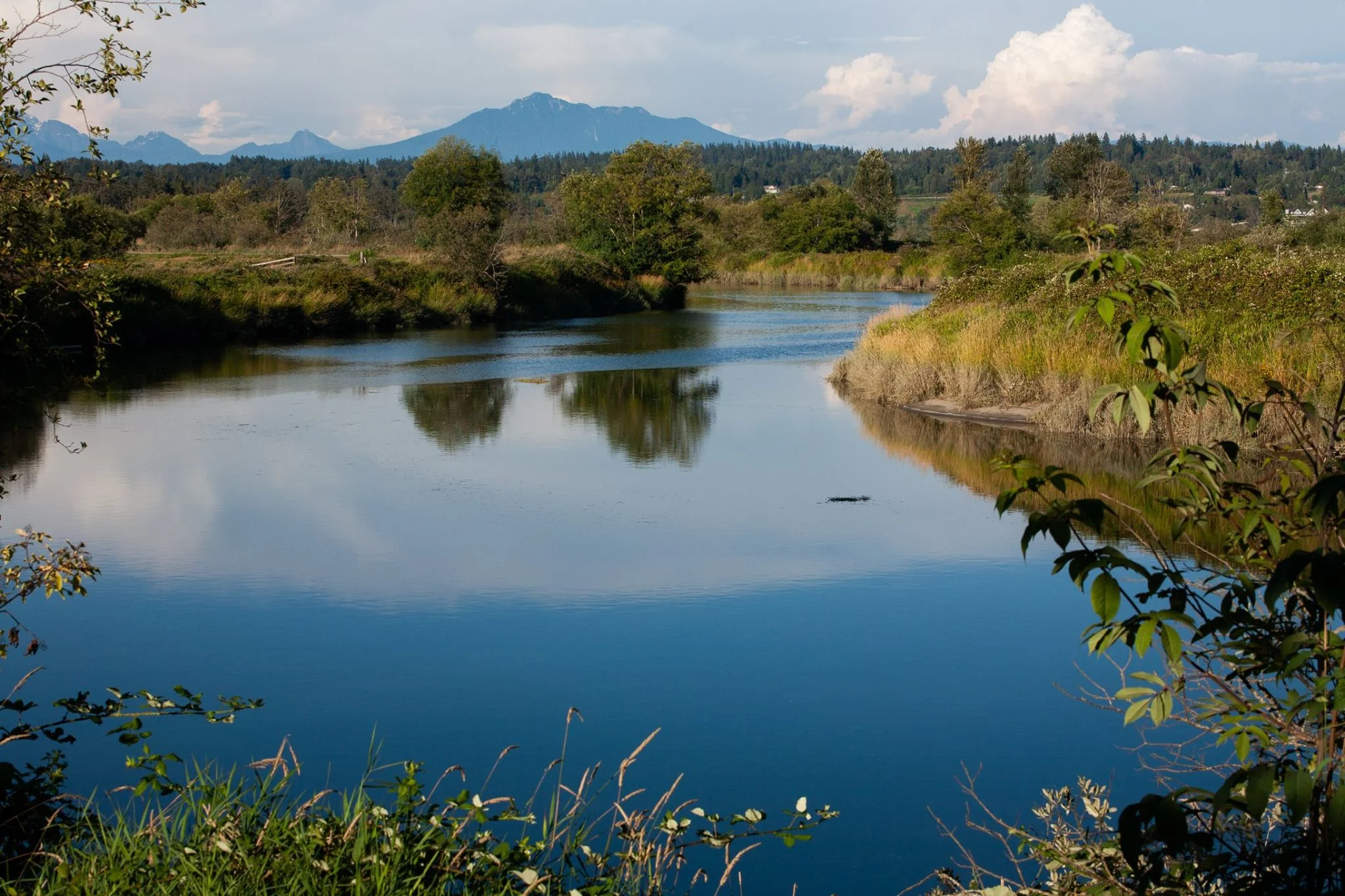Ebey Slough, the perfect backdrop for your event photos // Courtesy Stephanie Cameron*