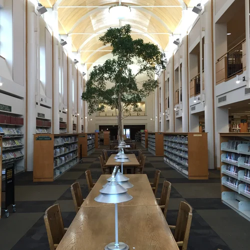 101 Free Things at the Everett Public Library — Live in Everett