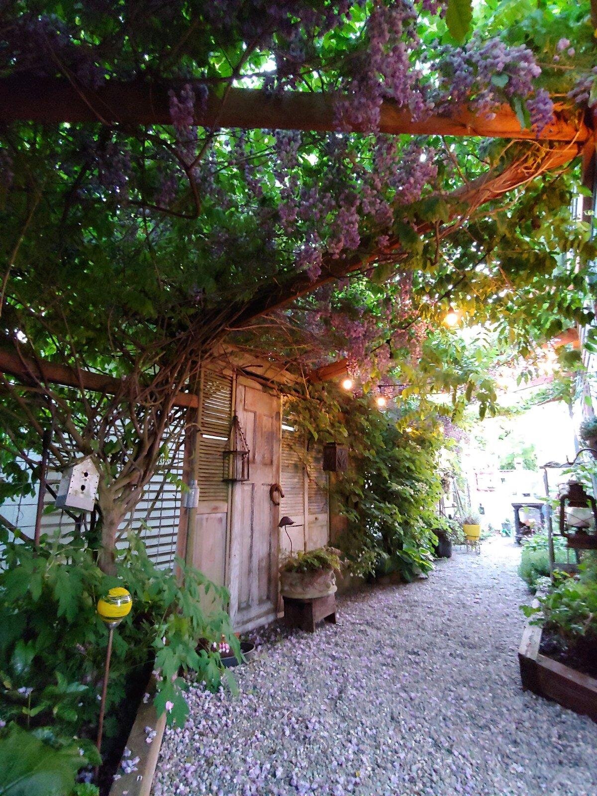 Secret garden in summer .jpg