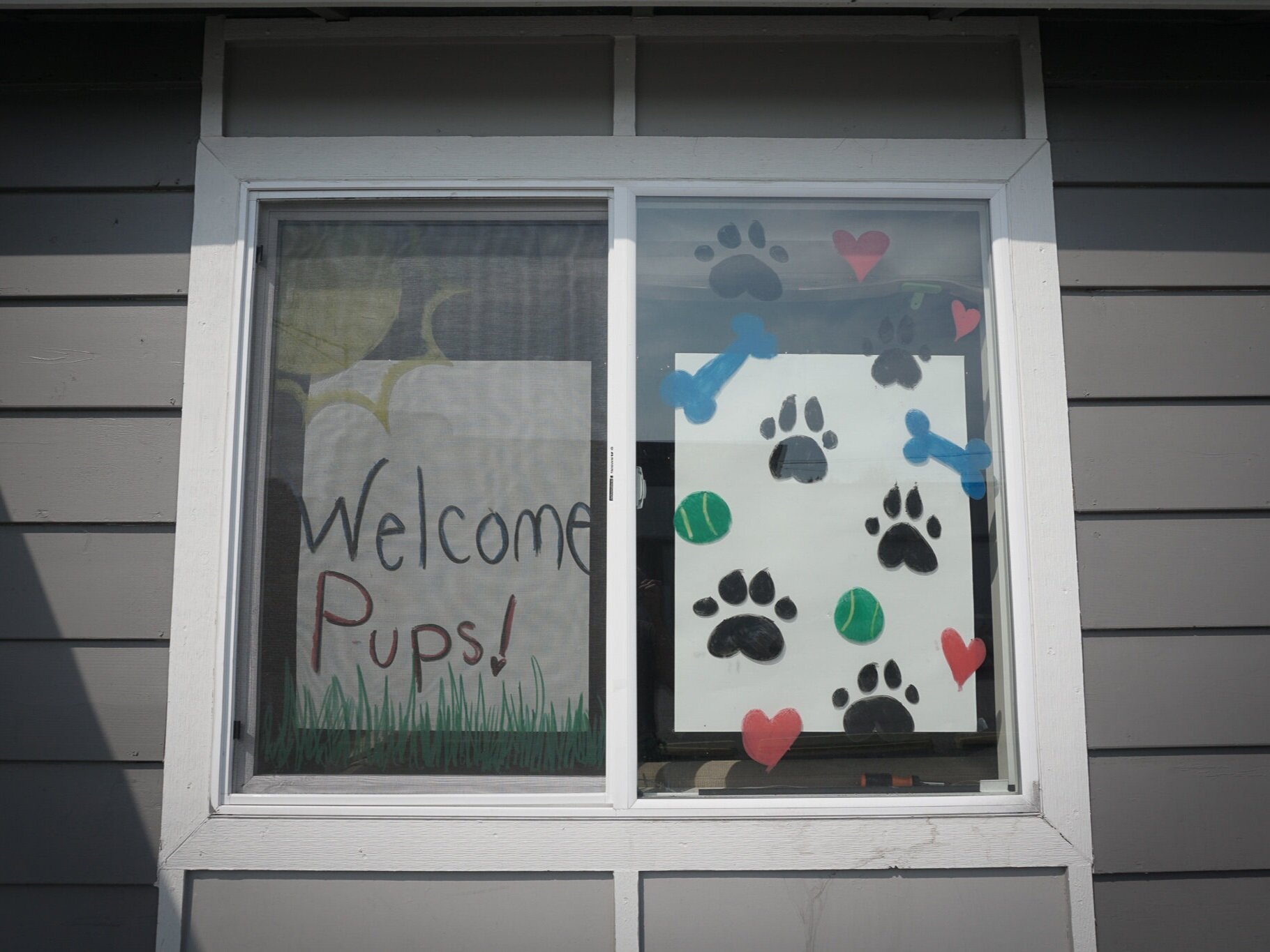 Scooby’s Dogwalkin storefront // Richard Porter