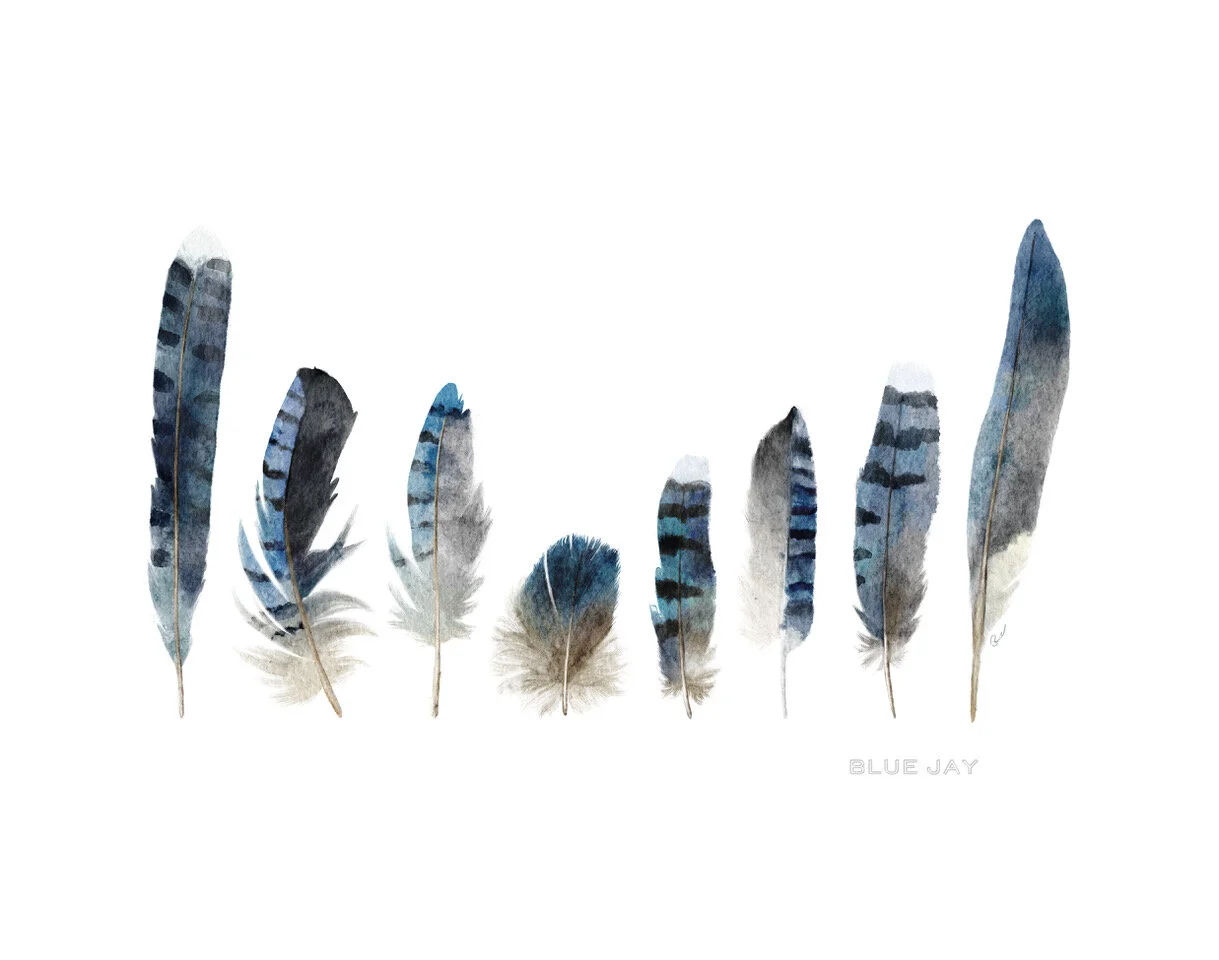 Artist Profile: Jennifer Rice