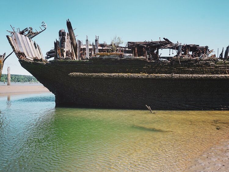 Have you ever noticed the row of huge abandoned wooden ships on the North end of Jetty Island? Take an adventure over to the blog and learn all about &lsquo;em: www.LiveInEverett.com/blog ⚓️
.
.
.
#everettwa #breakwater #portofeverett #everettwaterfr