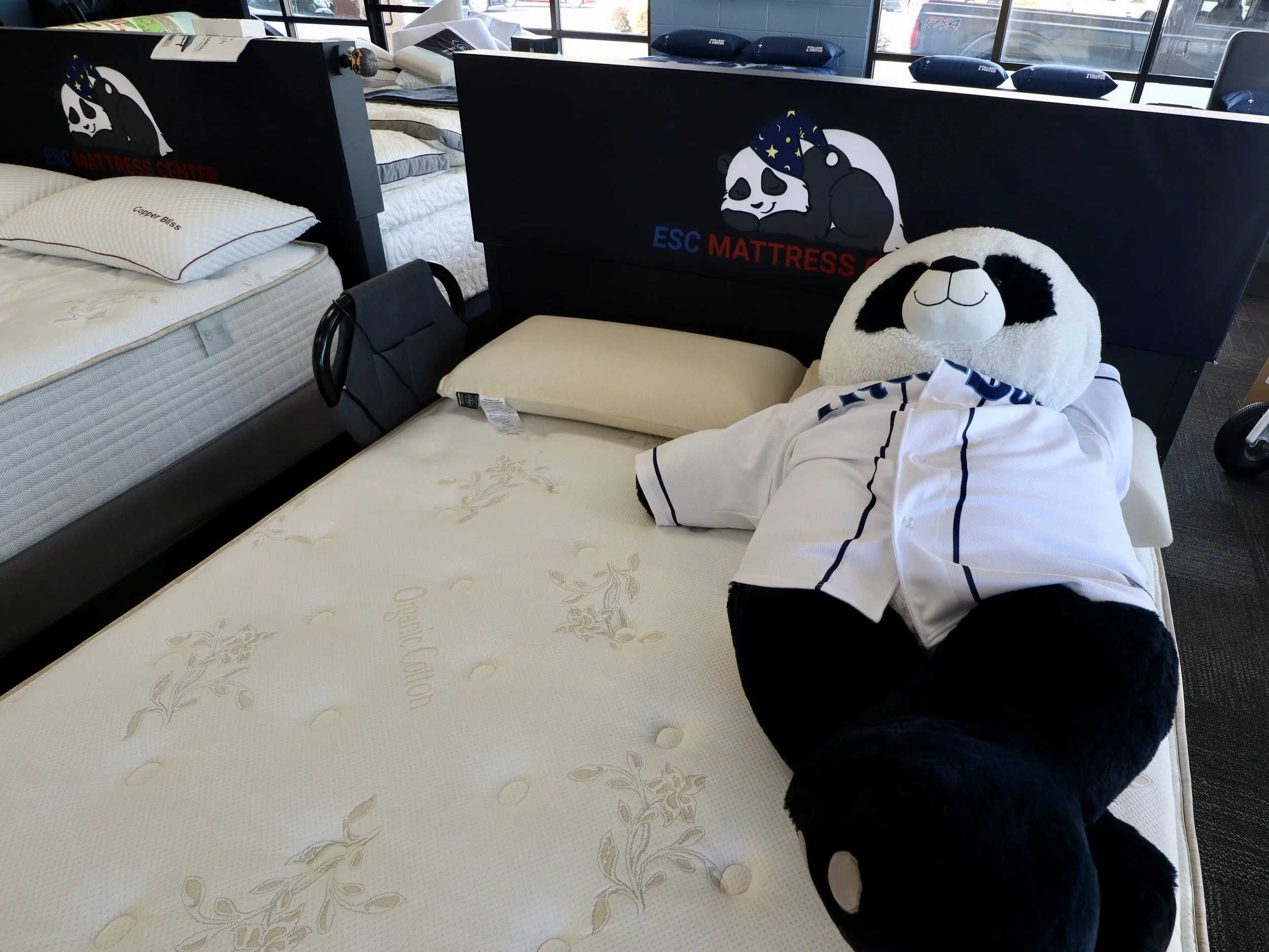 Sleeping Well, Again, at ESC Mattress Center
