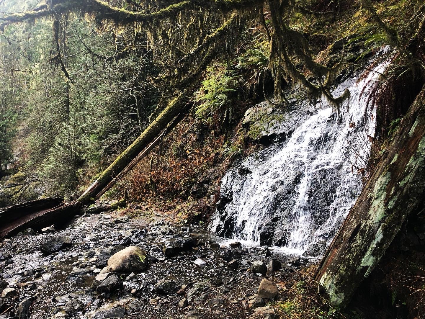 Worth the Hike: Old Robe Trail