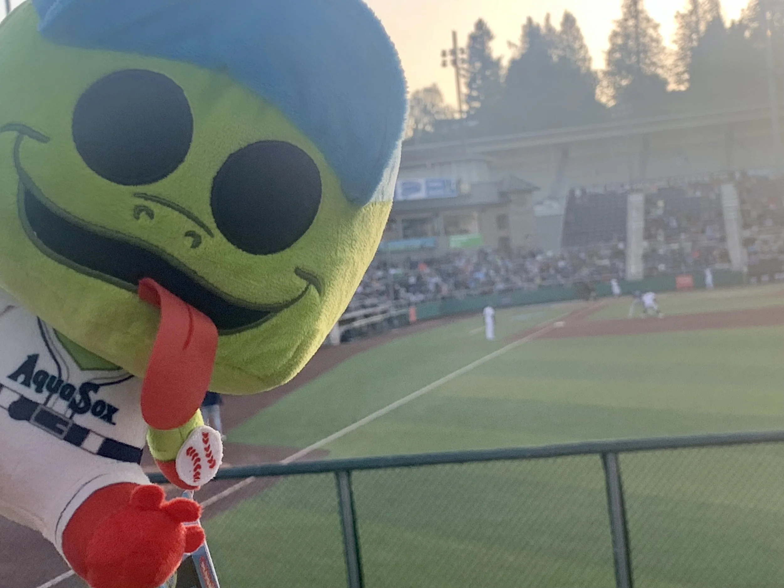 Coming to Council: Updates for the AquaSox 