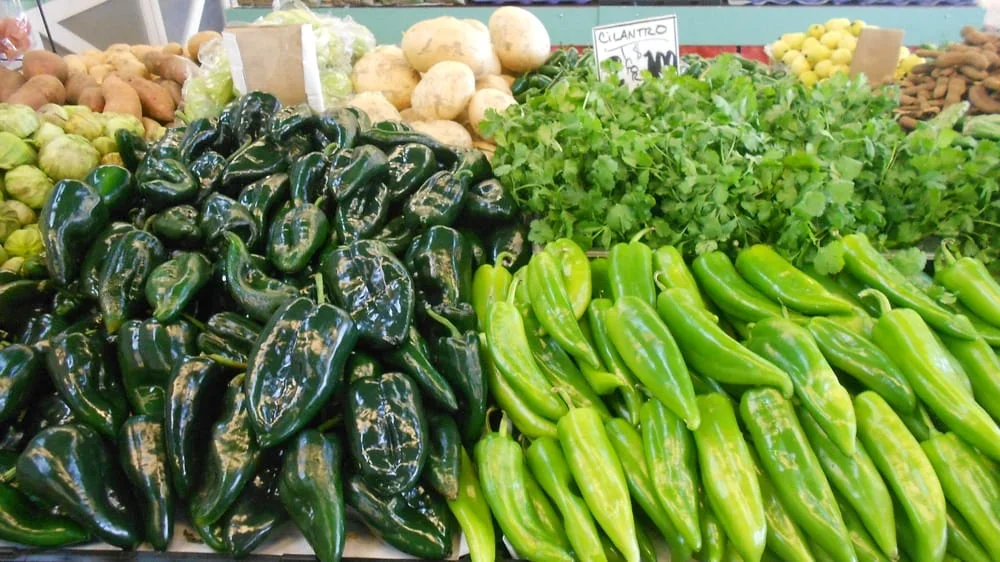 Market Magic: How to Survive (and Enjoy!) the Everett Farmers’ Market With Kids