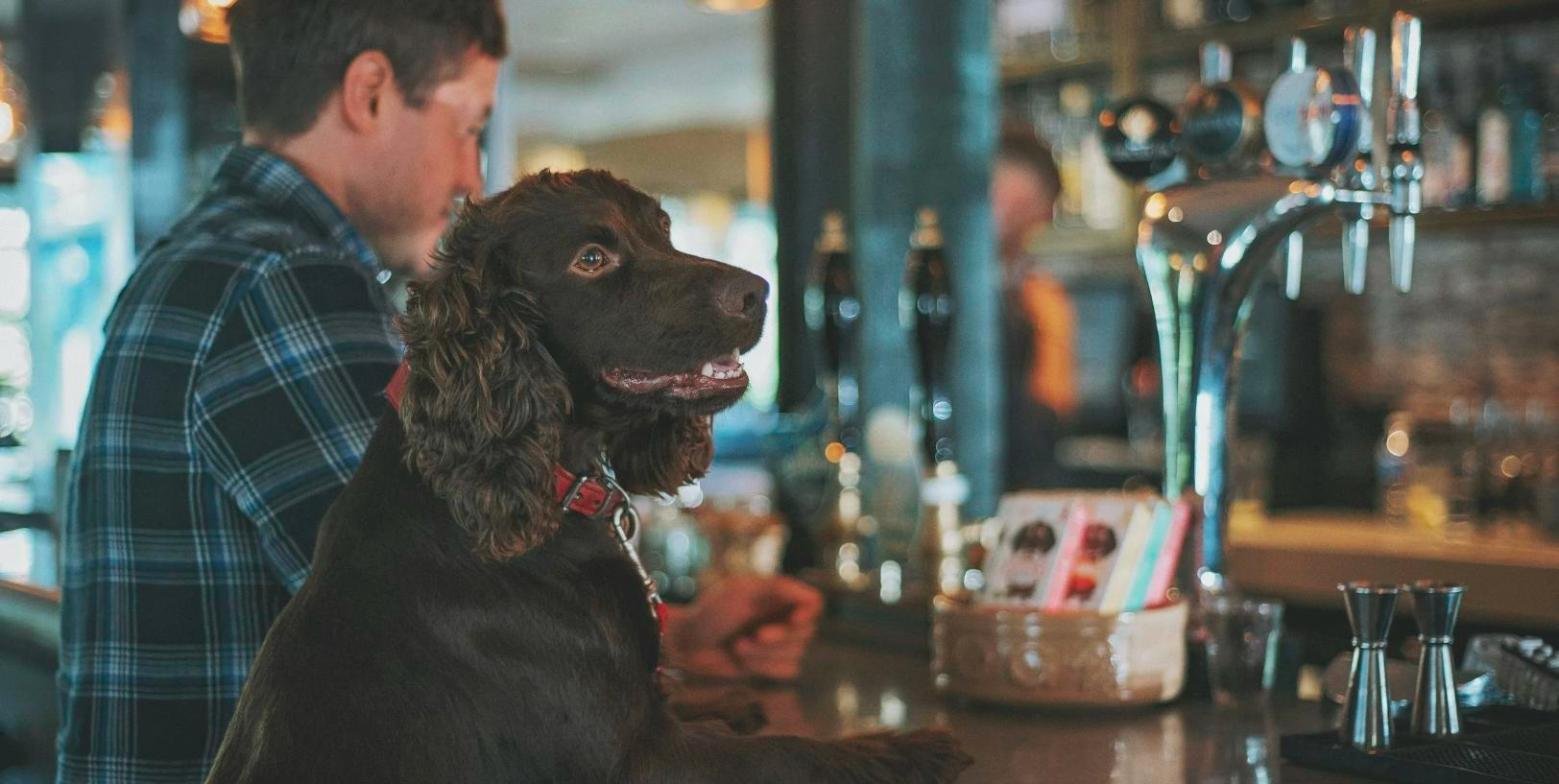 Paws &amp; Pencils at Barkside Cafe