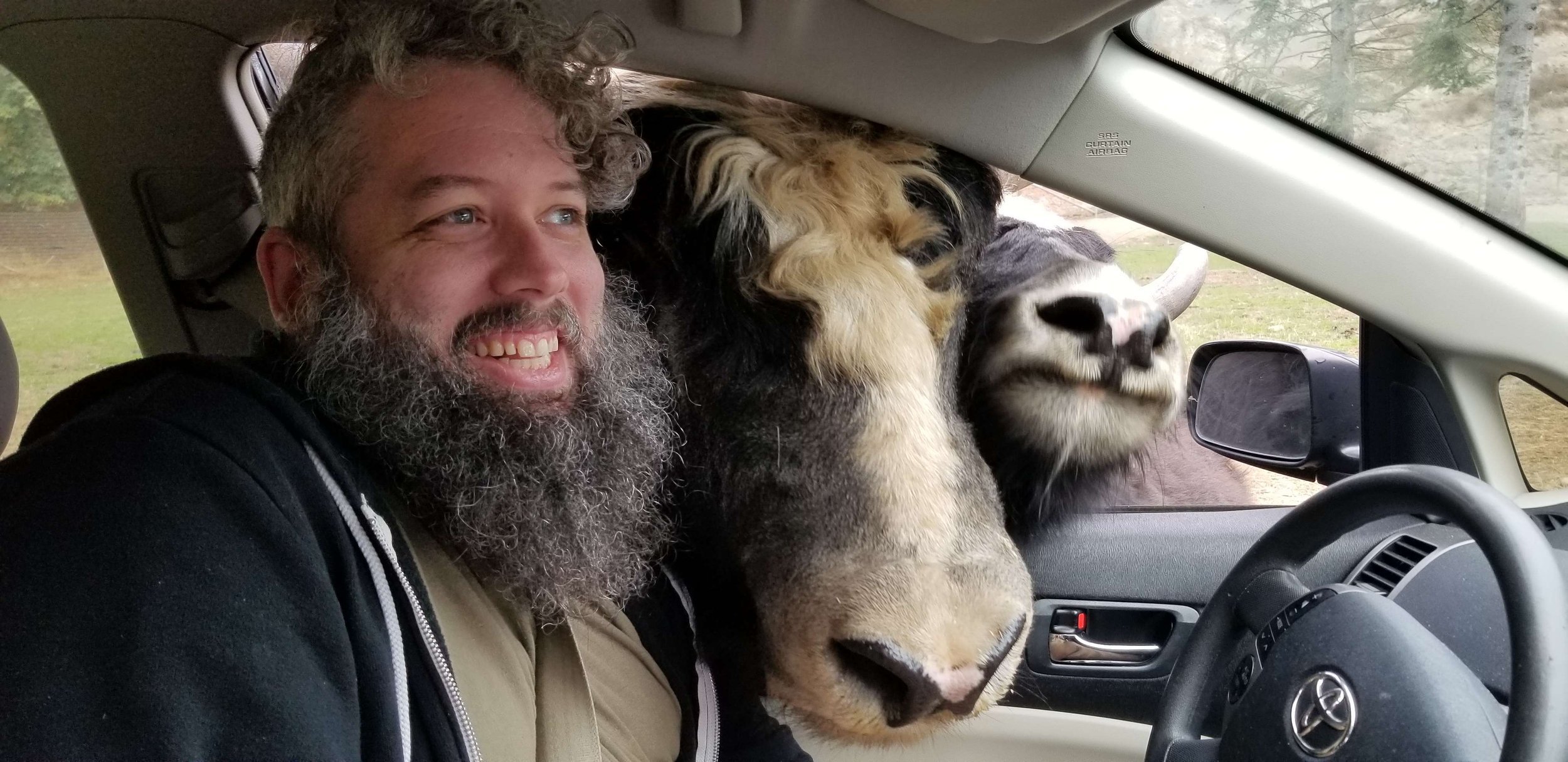 Worth Leaving Town For: A Day Trip to Sequim’s Olympic Game Farm