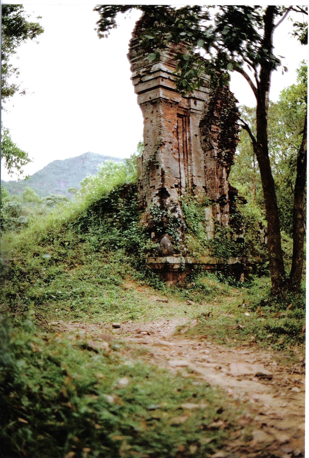 vietnam22.jpg