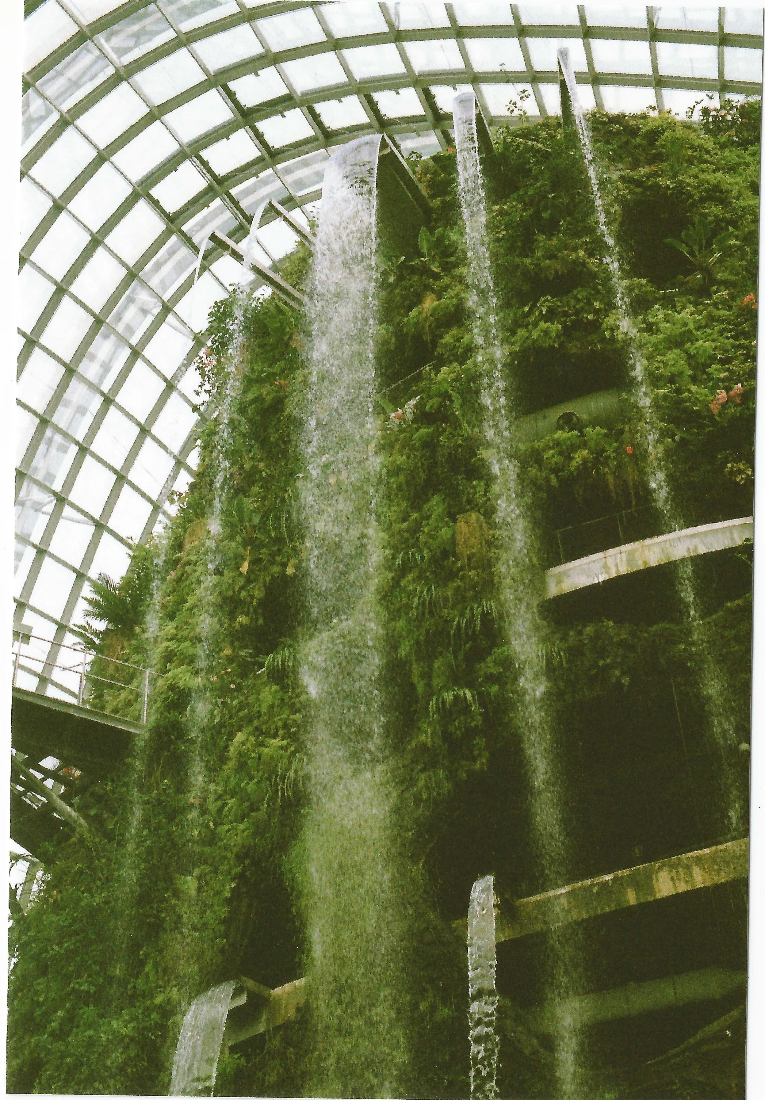 SINGAPORE5.jpg