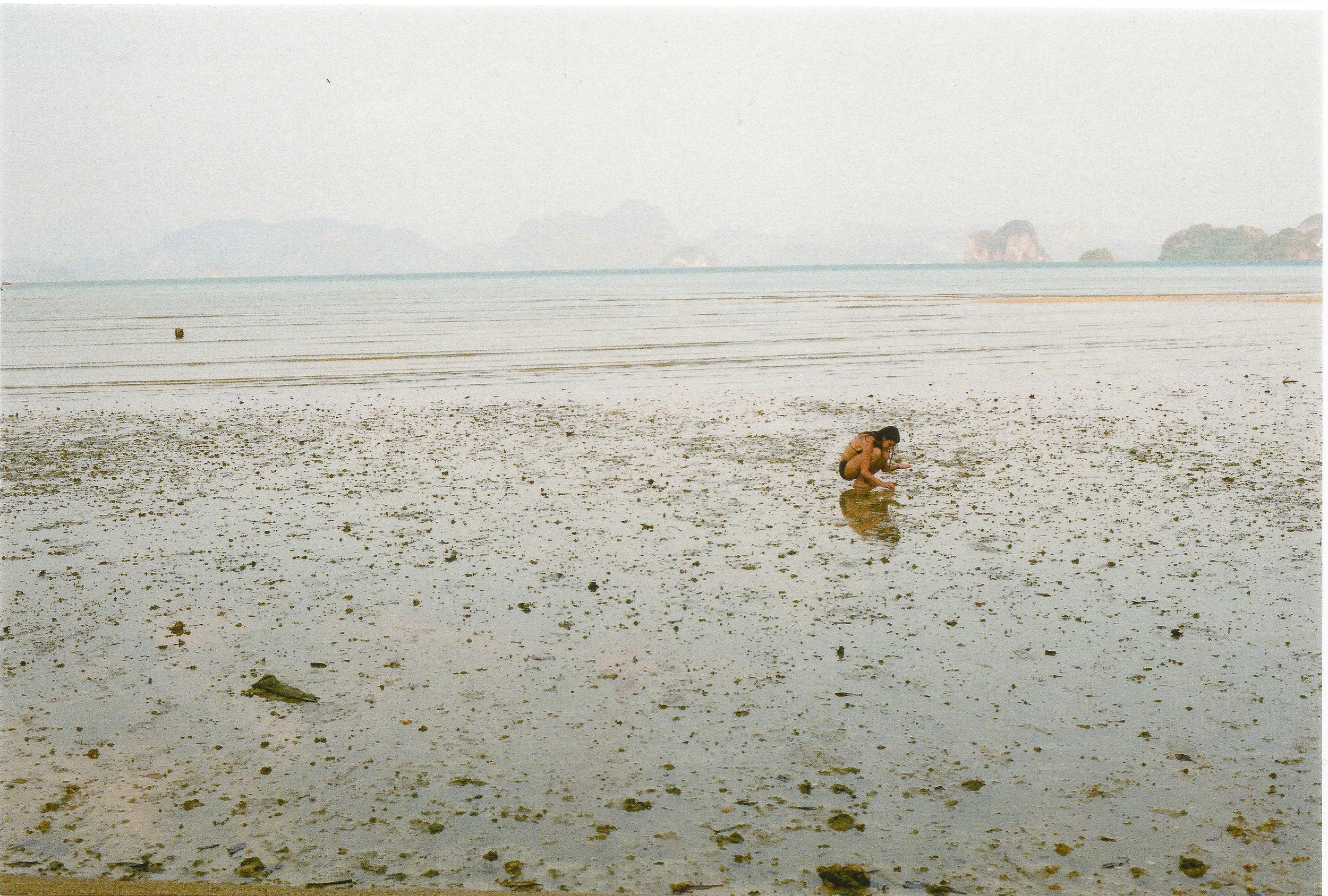thailand.jpg