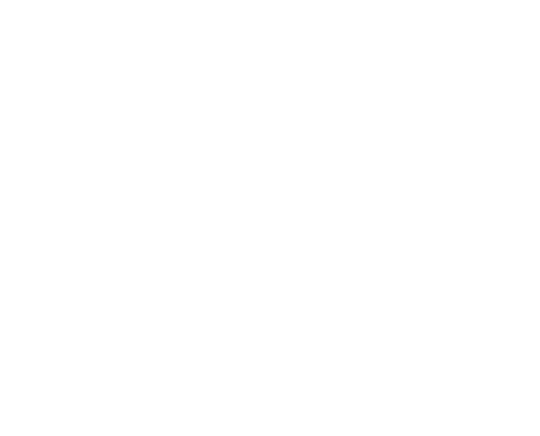 Toronto-halifax-wedding-photographer-fiona-porfolio