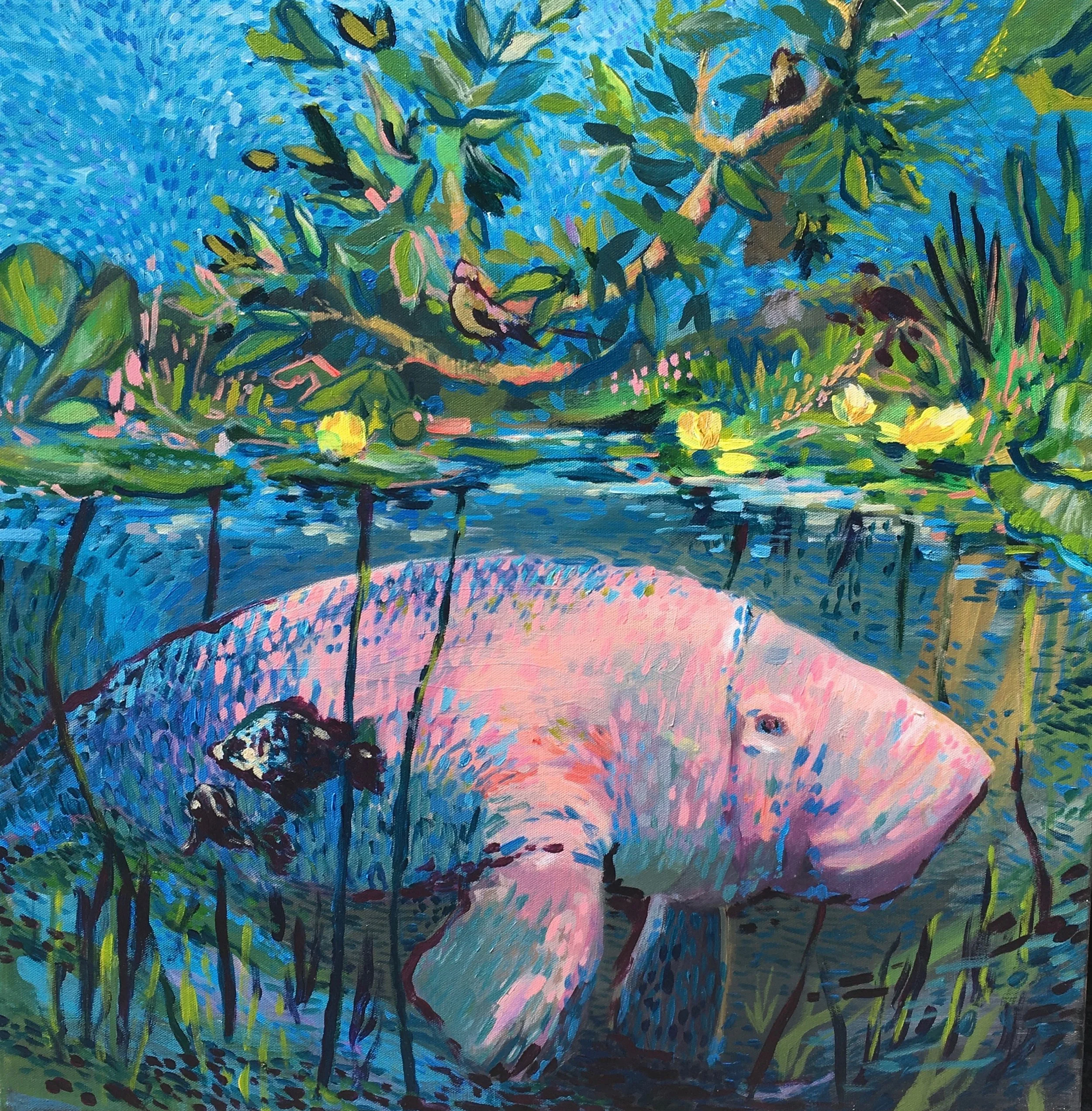 manatee.jpg