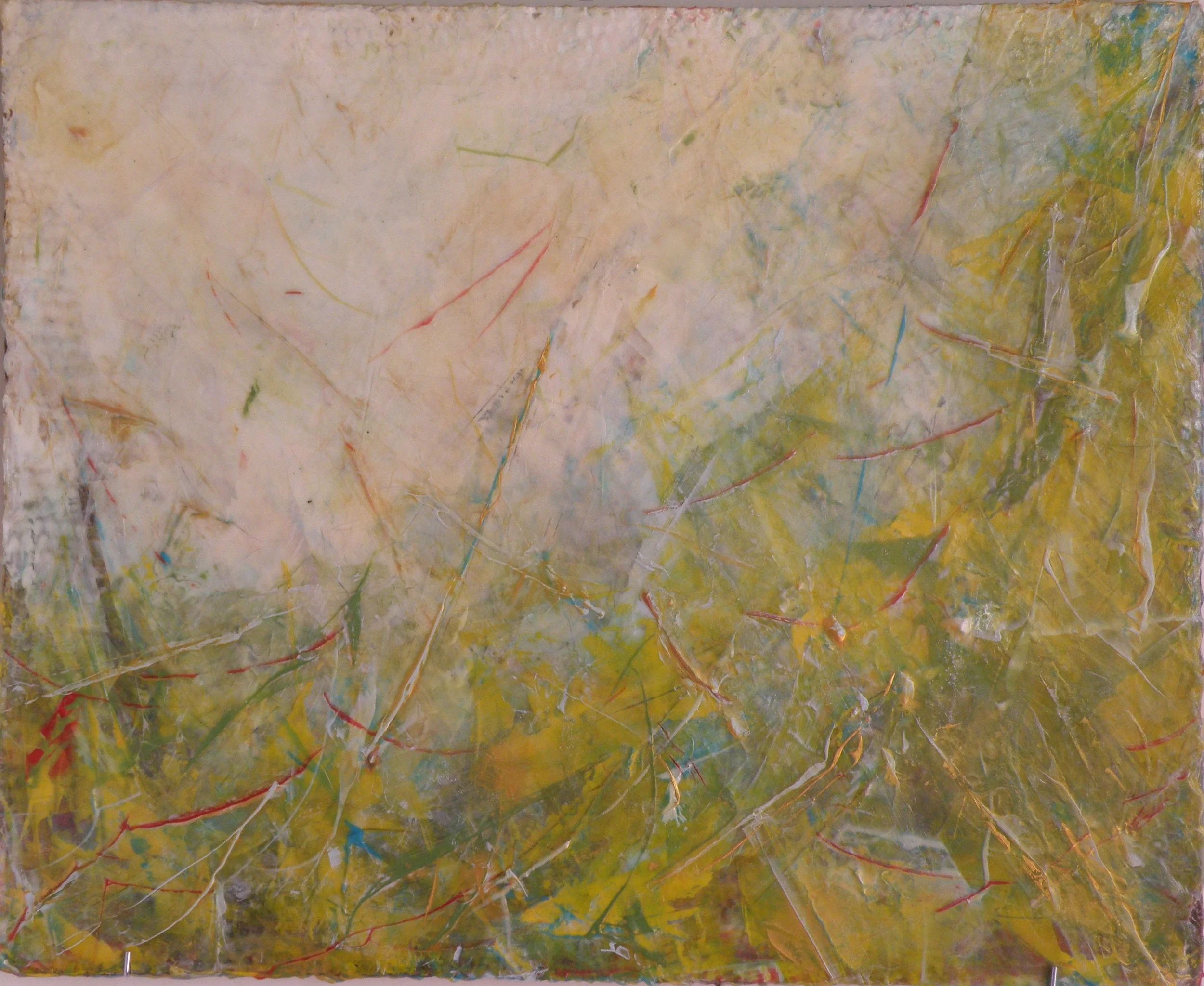 chromazona 114.11.JPG