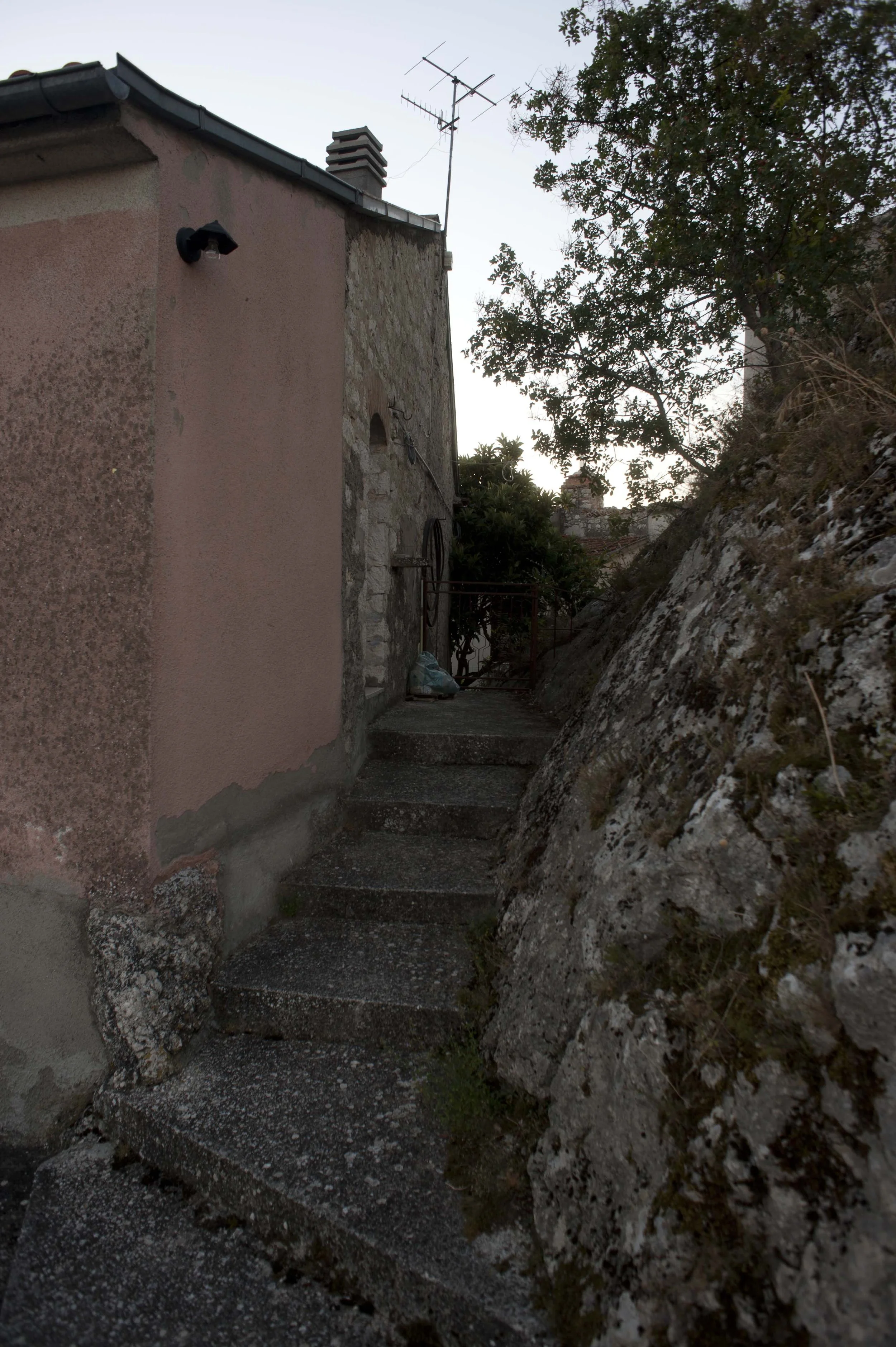 _DSC3111.jpg