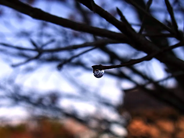  A drop of water reflecting the surrounding in its sphere 