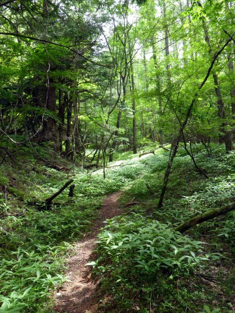 P1060965_2.jpg