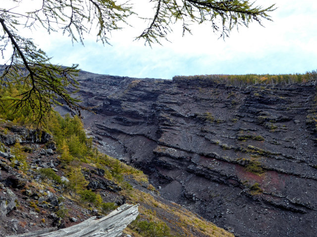 P1050777_2.jpg