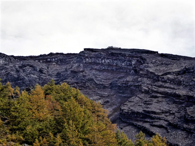 P1050783_3.jpg