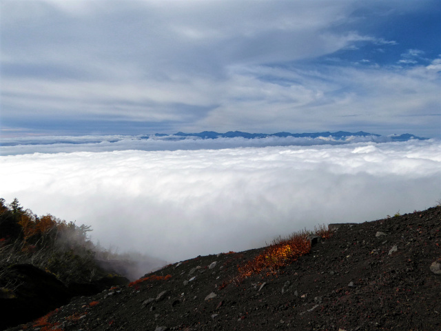 P1050791_2.jpg