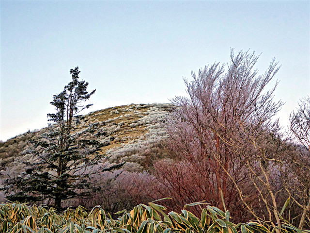 P1060078_2.jpg