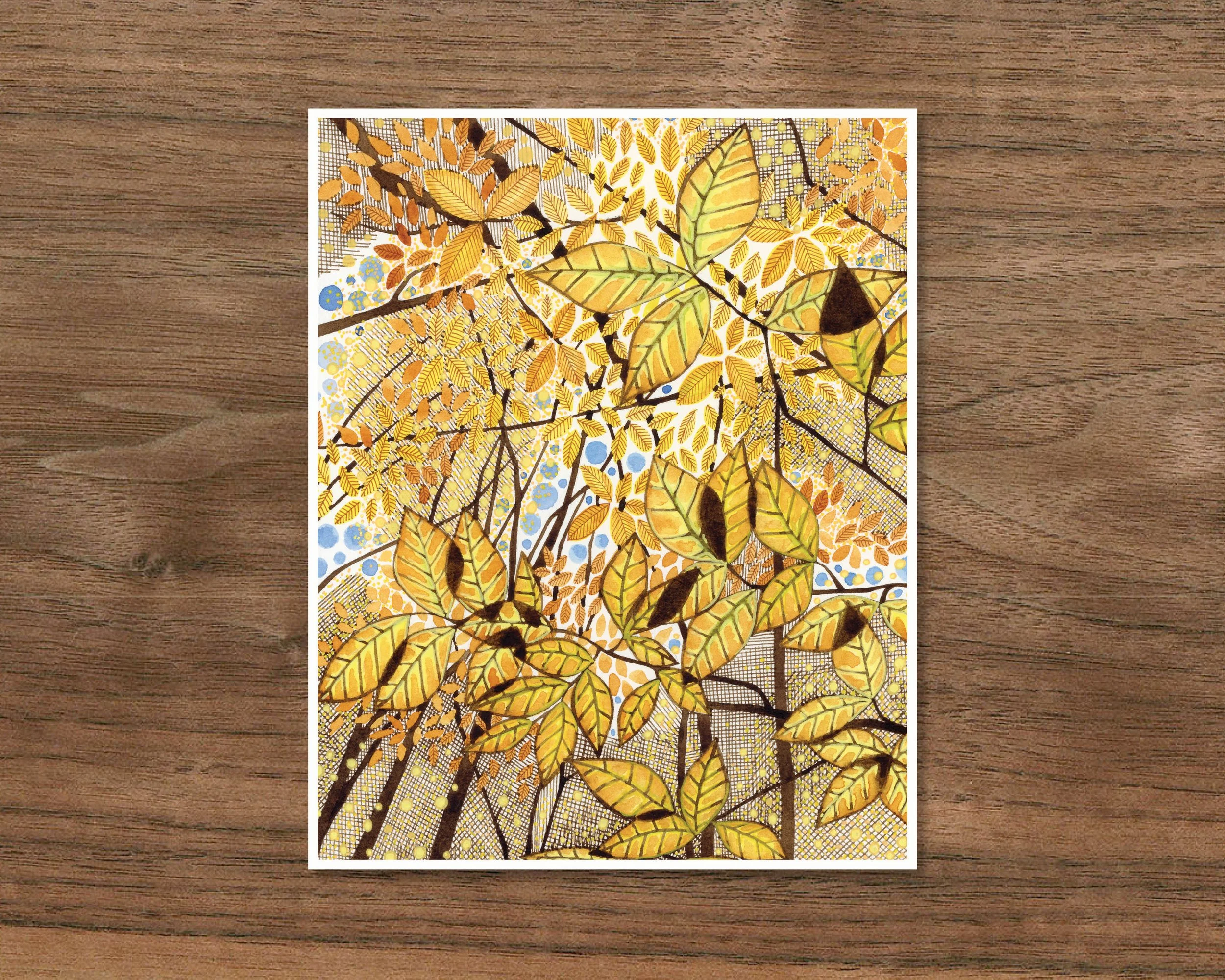 American Beech