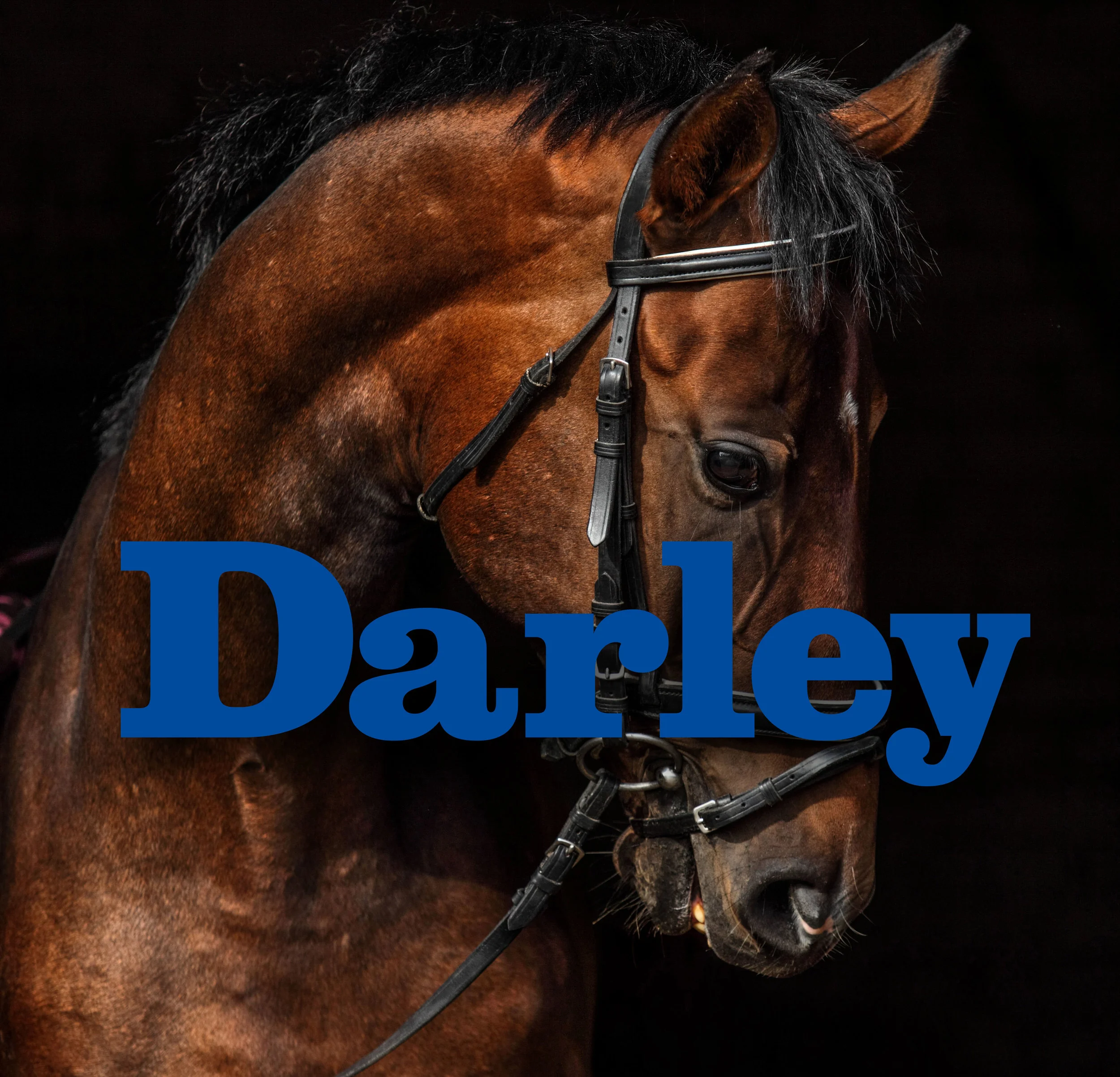 Darley_Cover_Photo.jpg