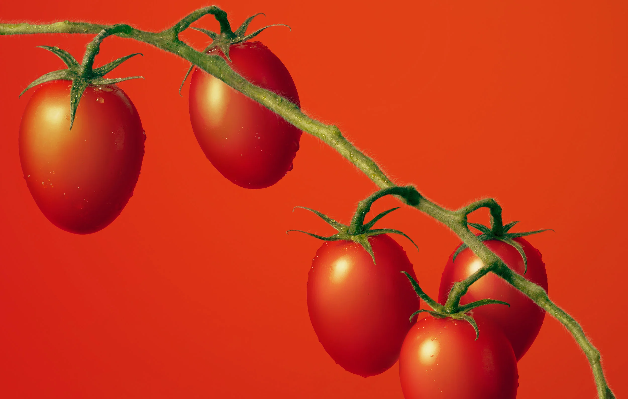 Mutti_Tomatoes_RT_HR_RGB_Lighter.jpg