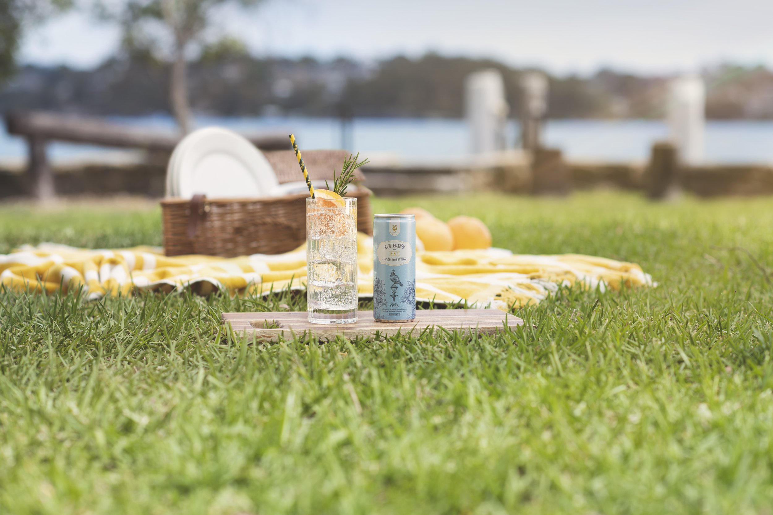 Lyres_RTD_G&T_Outdoor_Can_Drink_Straw_RGB.jpg